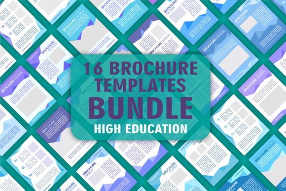 High Education Blank Brochure Design Set for Graphic Templates